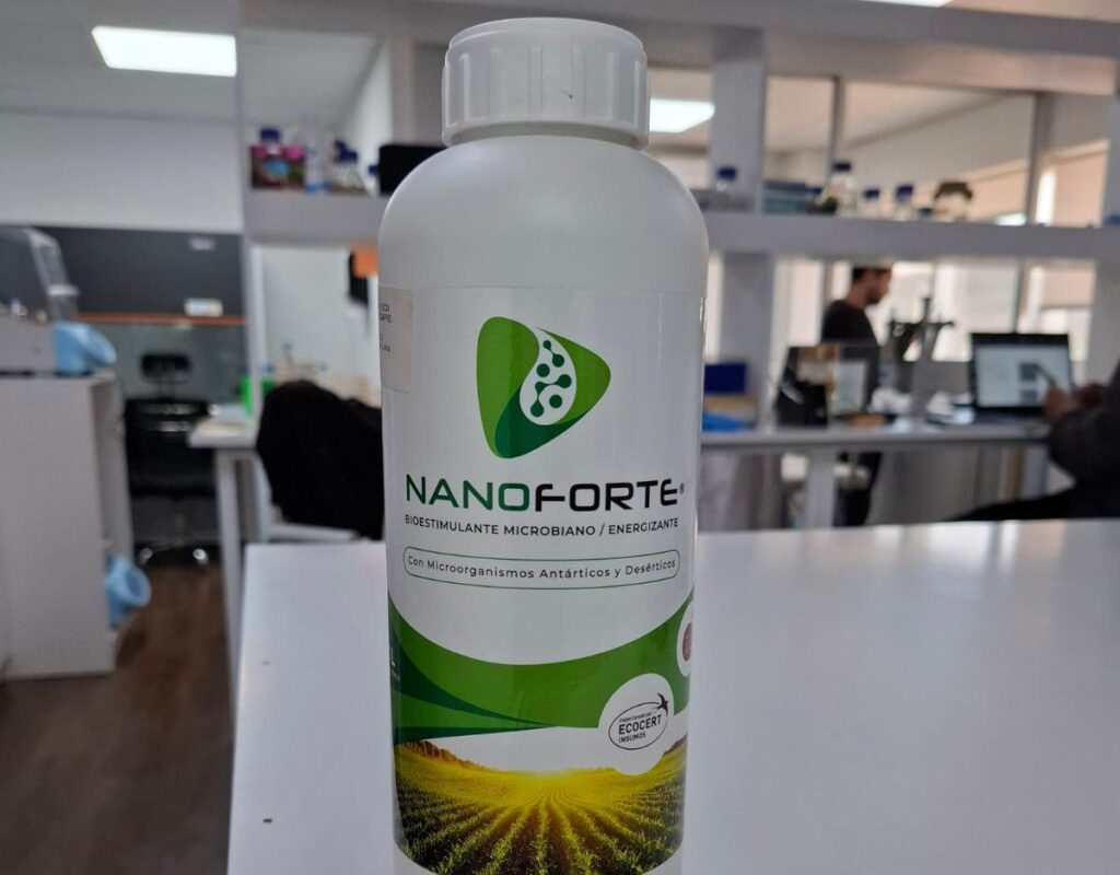 En Lampa se ubica el laboratorio en que Pewman Innovation desarrolla Nanoforte.